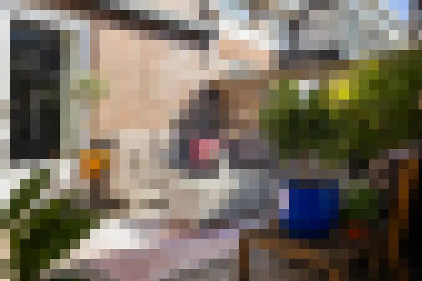 Eerste Hieronymus van Alphenstraat 88 Gouda thumbnail 52