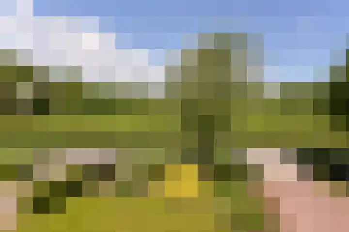 Eerste Hoefweg 2 de Hoef foto 2