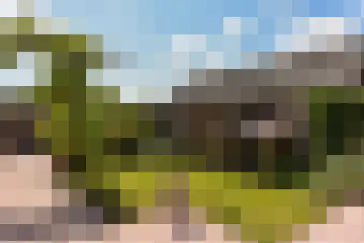 Eerste Hoefweg 2 de Hoef thumbnail 27