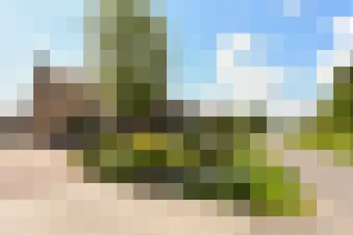 Eerste Hoefweg 2 de Hoef thumbnail 32