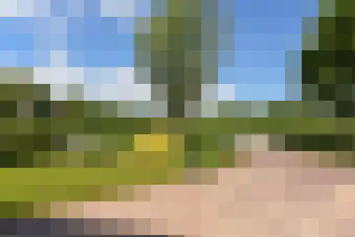 Eerste Hoefweg 2 de Hoef thumbnail 34