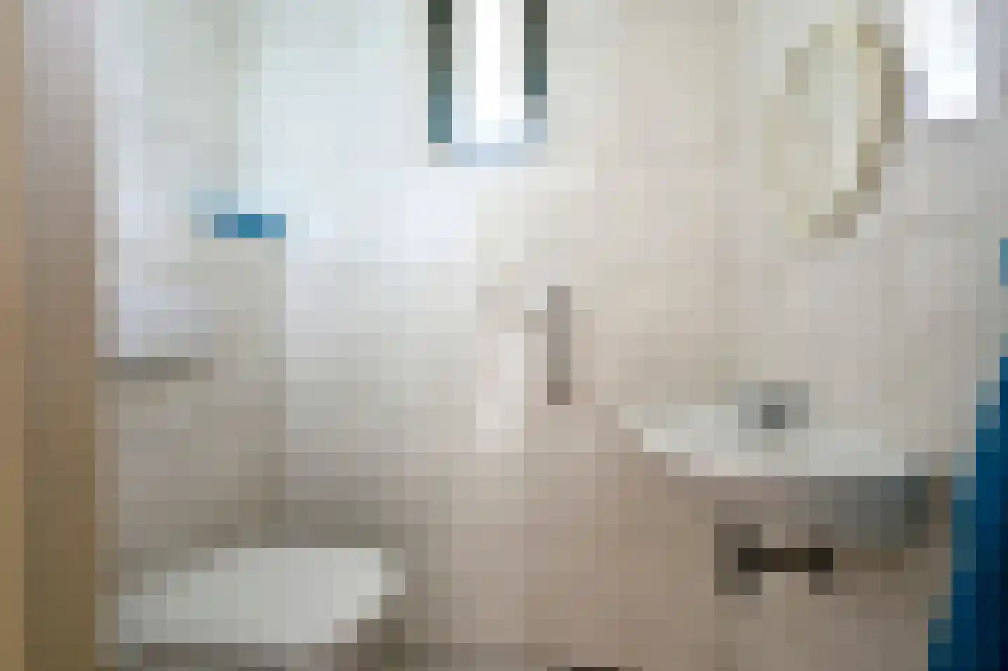 Eerste Hoefweg 3 B de Hoef thumbnail 18