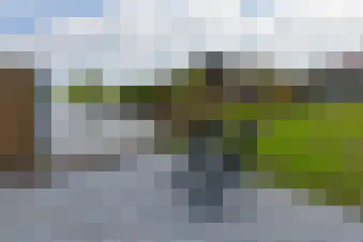 Eerste Hoefweg 8 de Hoef thumbnail 24