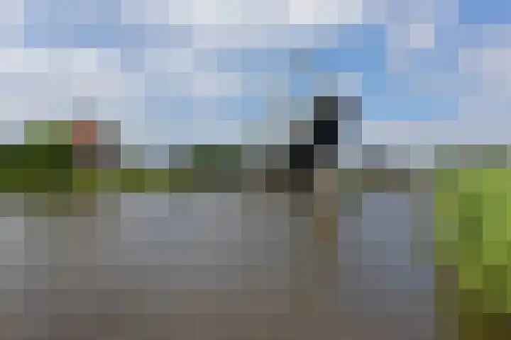 Eerste Hoefweg 8 de Hoef thumbnail 27