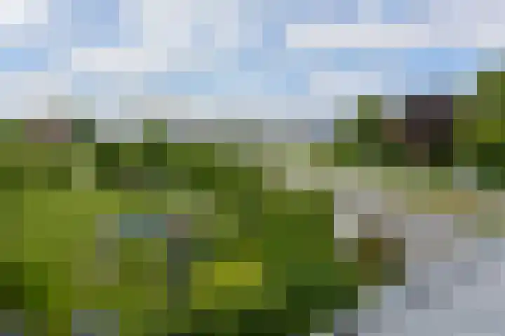 Eerste Hoefweg 8 de Hoef thumbnail 28