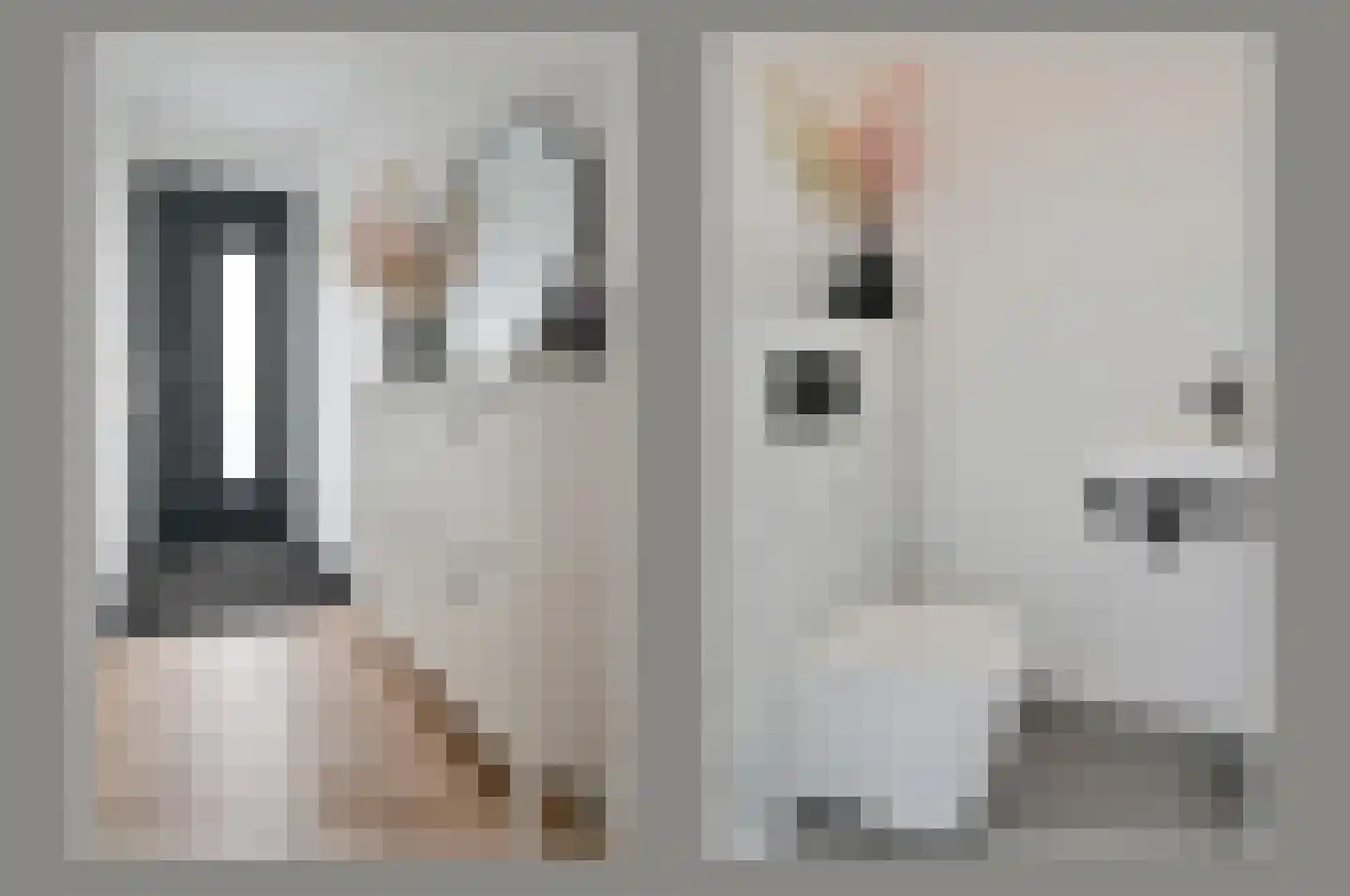 Eerste Hoefweg 9 de Hoef thumbnail 17