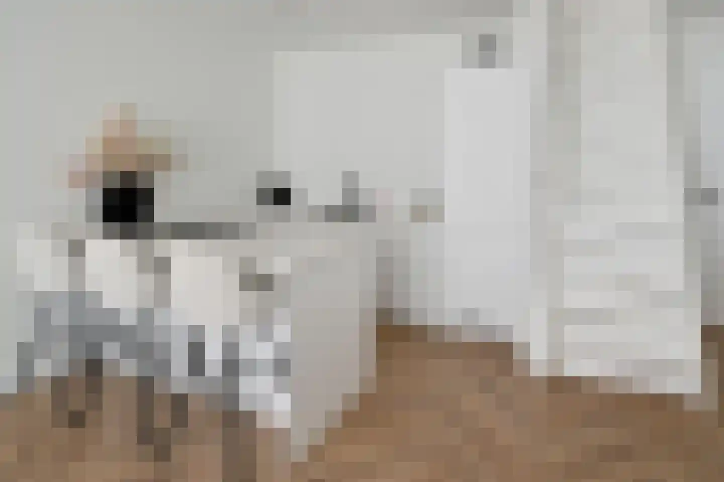 Eerste Hoefweg 9 de Hoef thumbnail 6