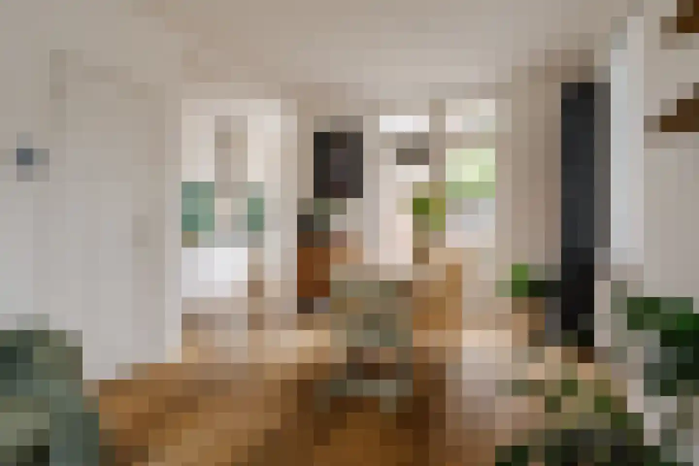 Eerste Hogerwoerddwarsstraat 11 Haarlem thumbnail 11