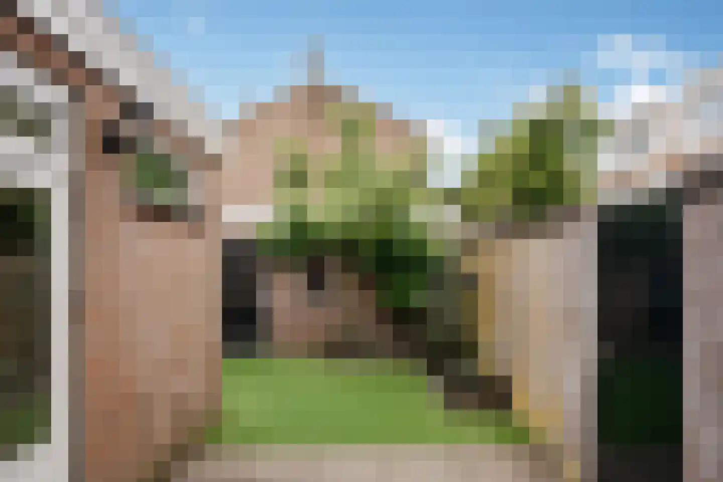 Eerste Hogerwoerddwarsstraat 11 Haarlem thumbnail 18