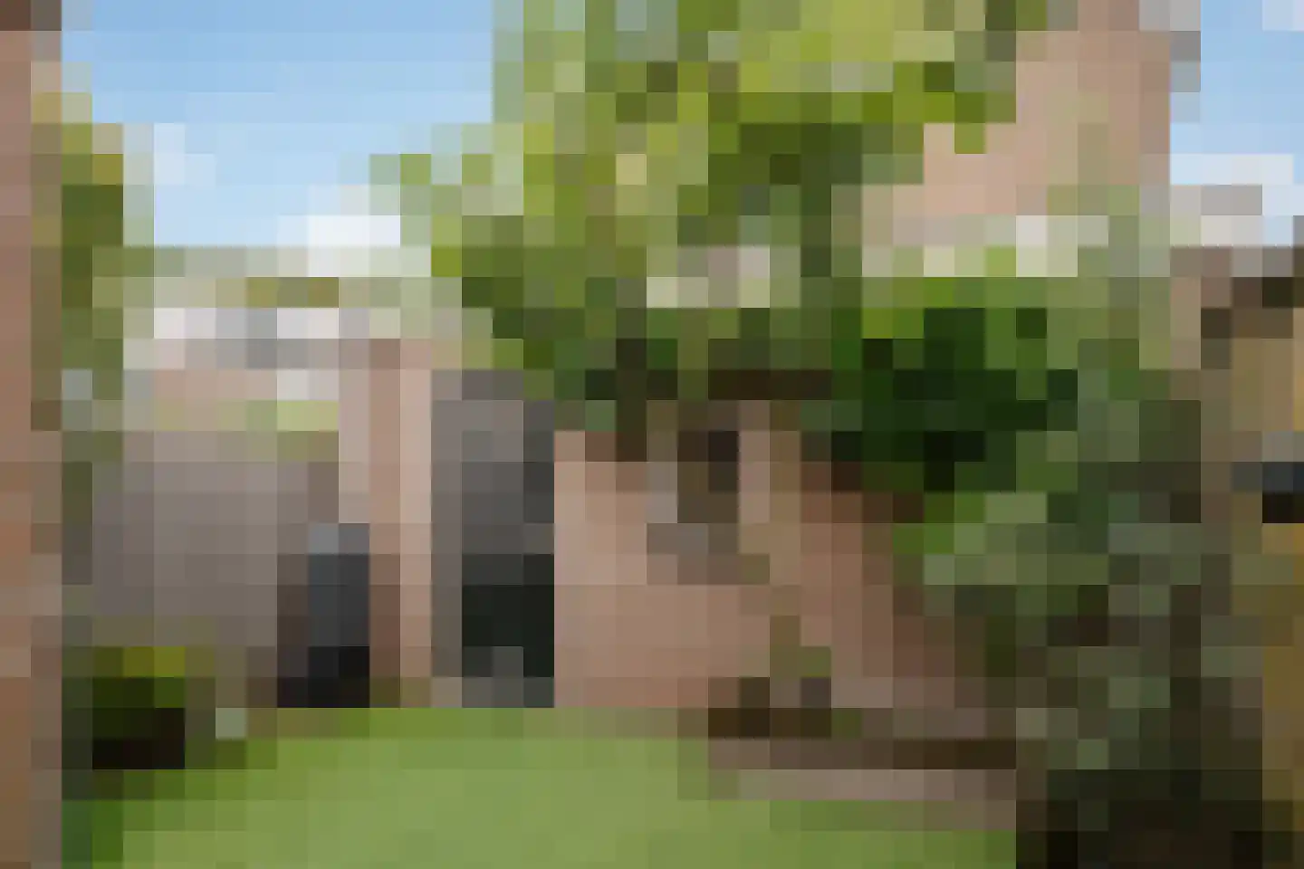 Eerste Hogerwoerddwarsstraat 11 Haarlem thumbnail 5