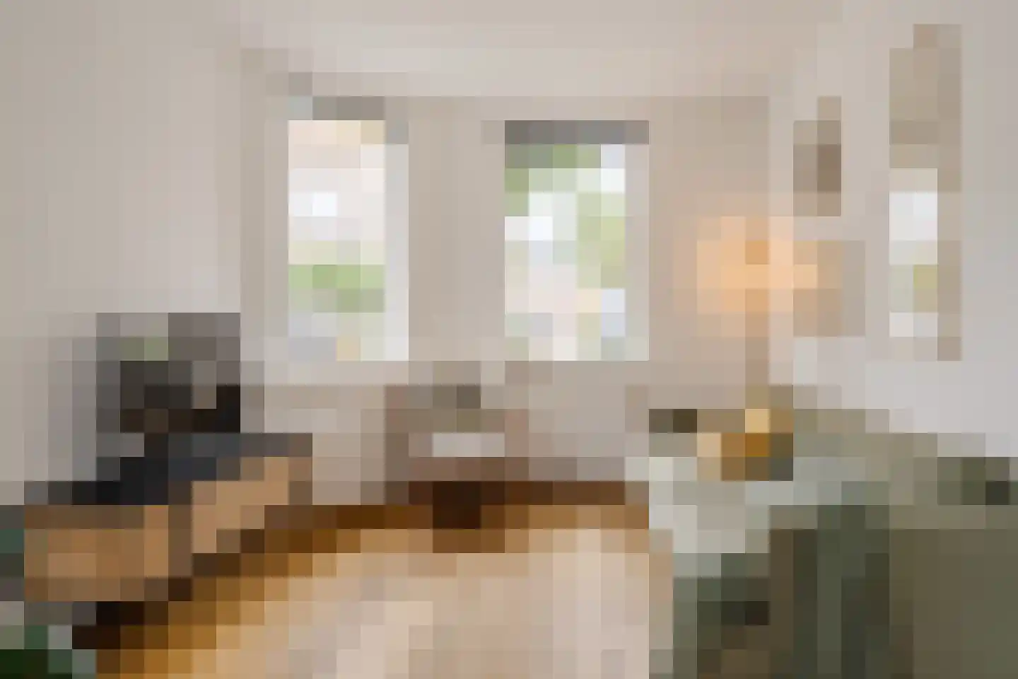 Eerste Hogerwoerddwarsstraat 11 Haarlem thumbnail 8