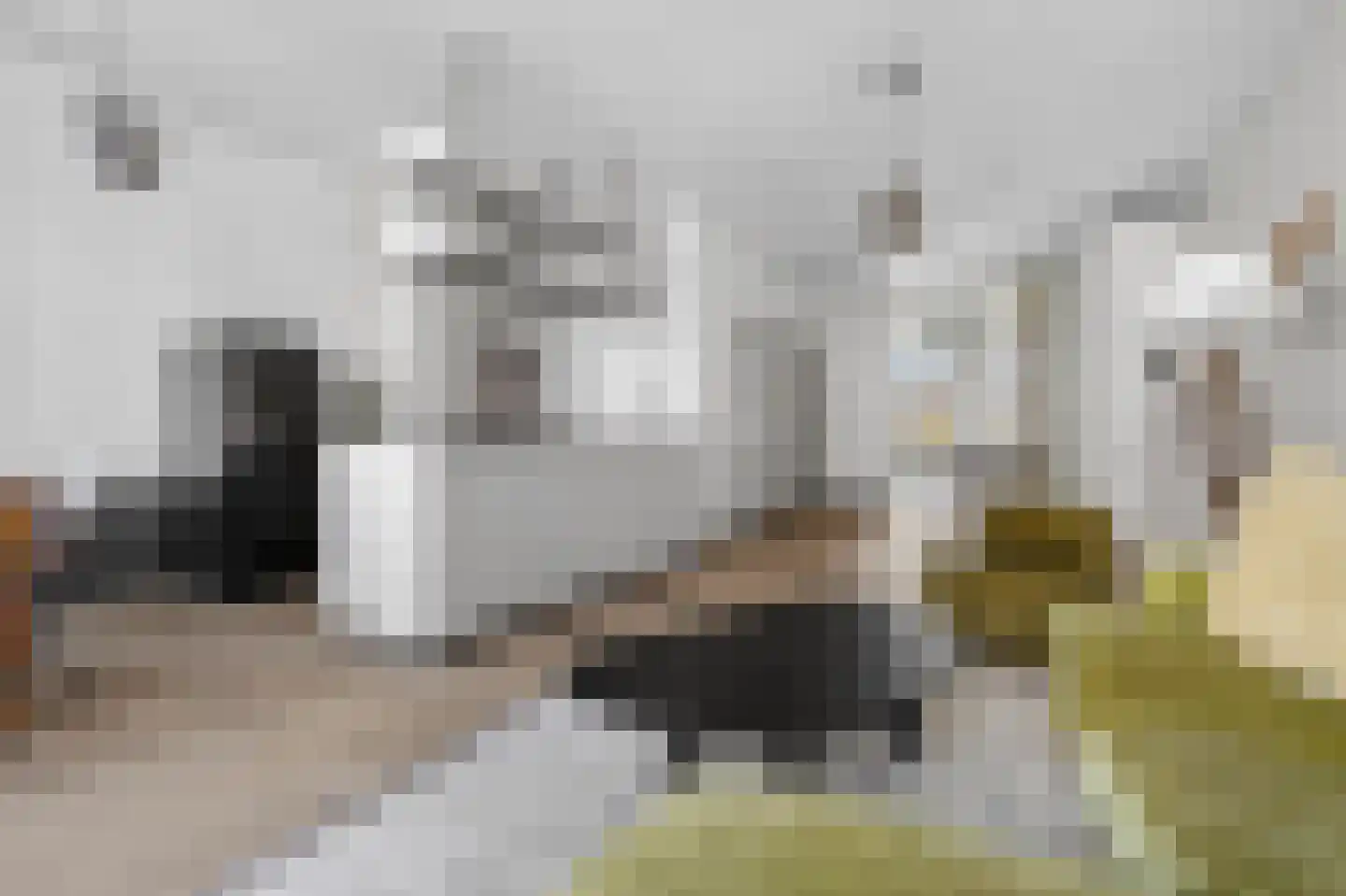 Eerste Hugo de Grootstraat 1 1 Amsterdam thumbnail 11