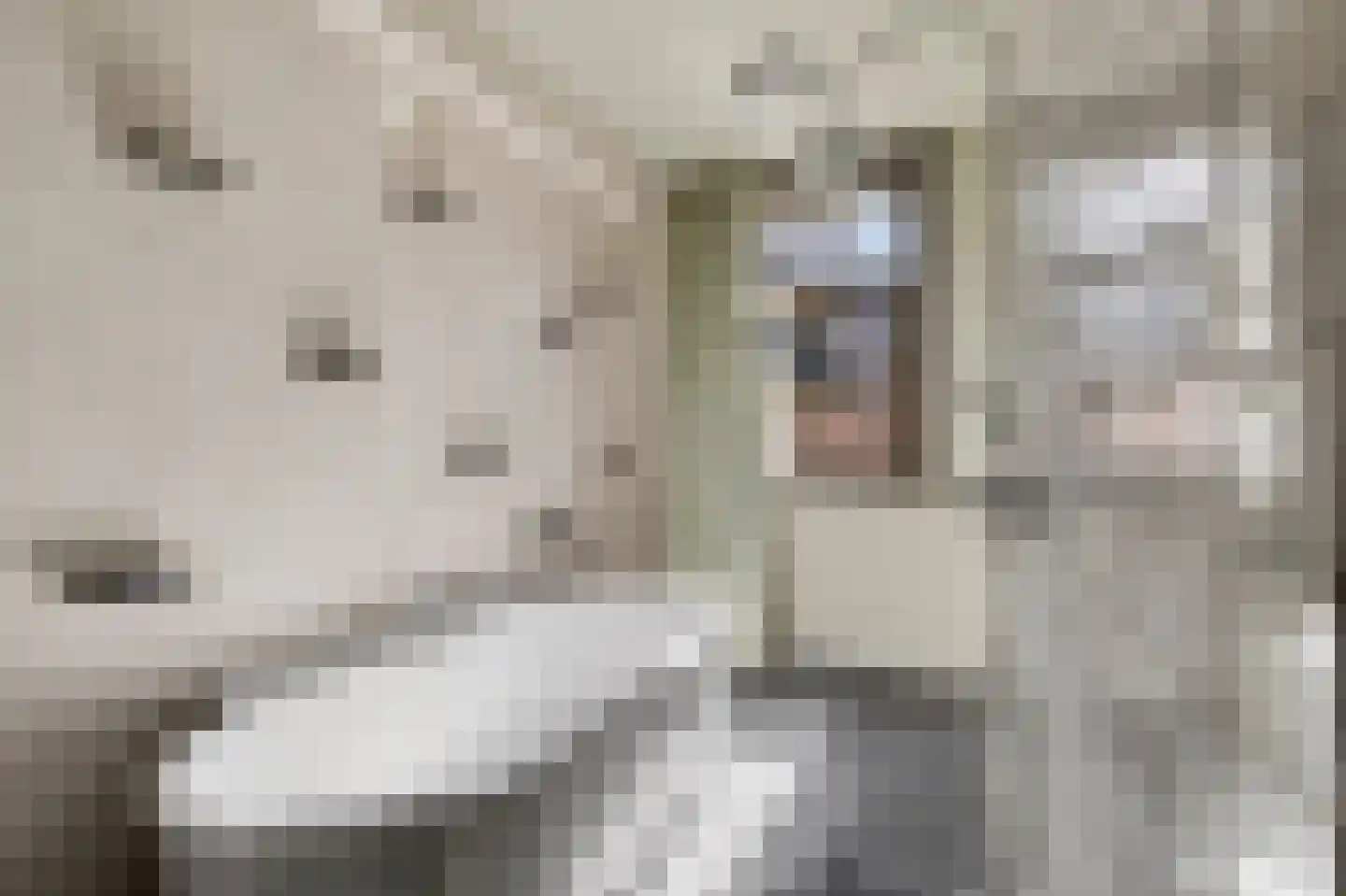 Eerste Hugo de Grootstraat 1 1 Amsterdam thumbnail 21