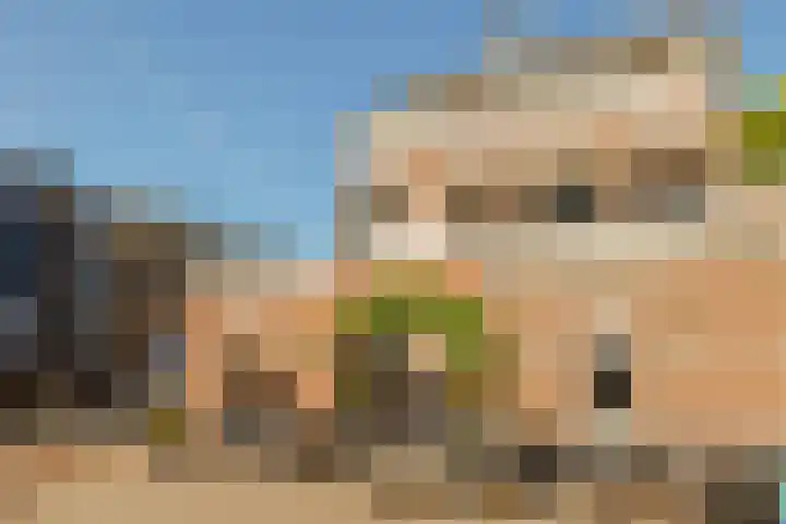 Eerste Hugo de Grootstraat 1 H Amsterdam thumbnail 23