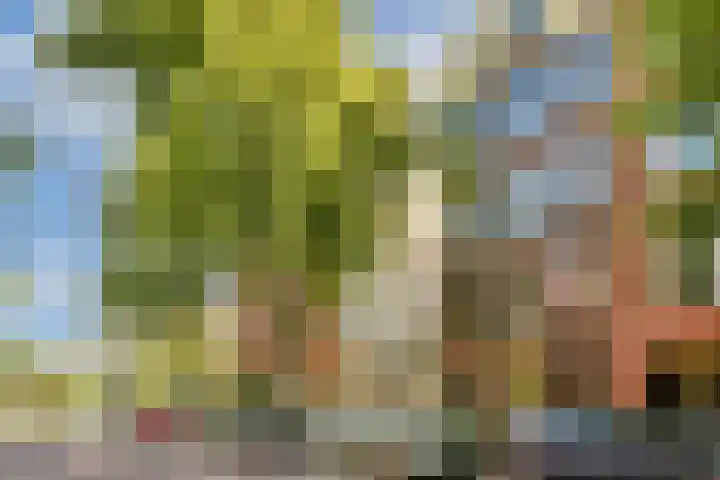 Eerste Hugo de Grootstraat 1 H Amsterdam thumbnail 5