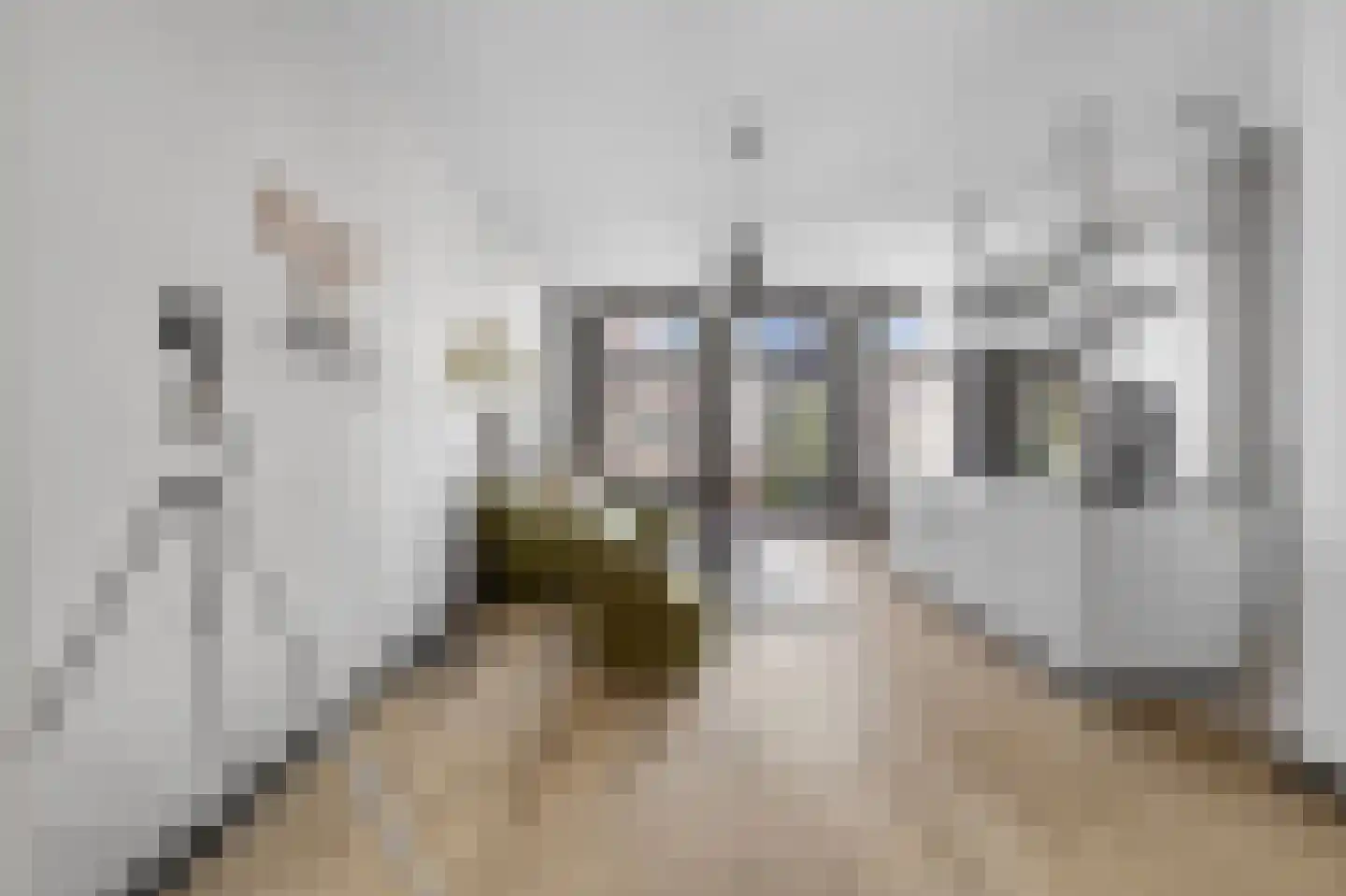 Eerste Hugo de Grootstraat 1 H Amsterdam thumbnail 6