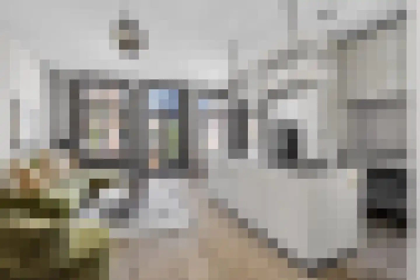 Eerste Hugo de Grootstraat 1 H Amsterdam thumbnail 7