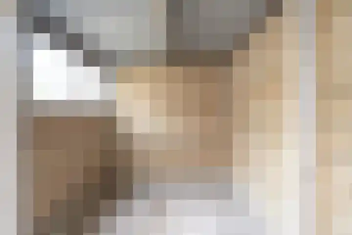 Eerste Hugo de Grootstraat 10 3 Amsterdam thumbnail 9