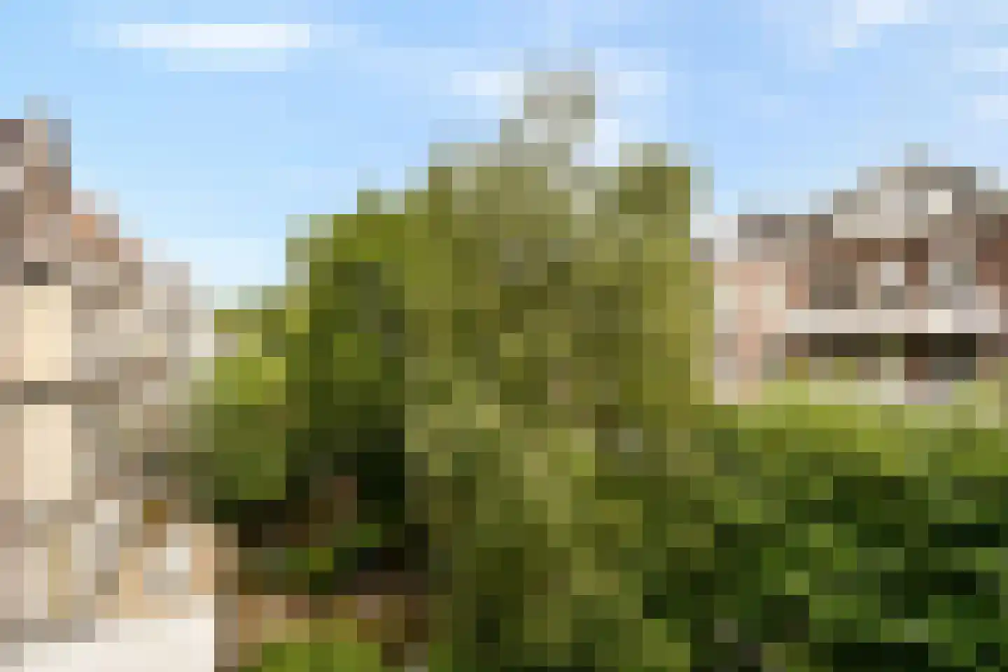 Eerste Hugo de Grootstraat 14 3 Amsterdam thumbnail 14