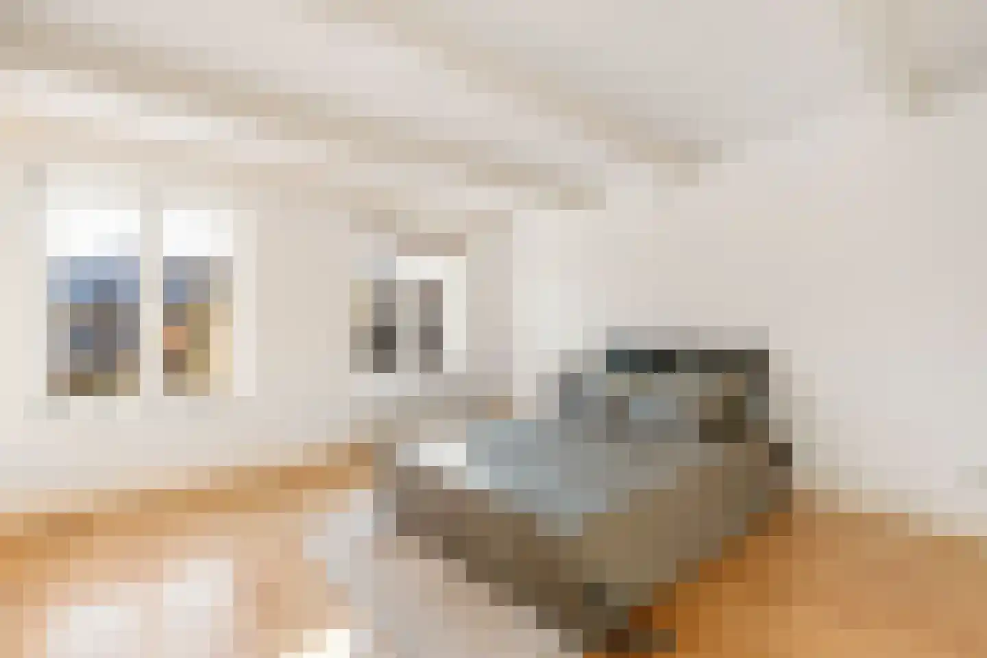 Eerste Hugo de Grootstraat 19 3 Amsterdam thumbnail 21