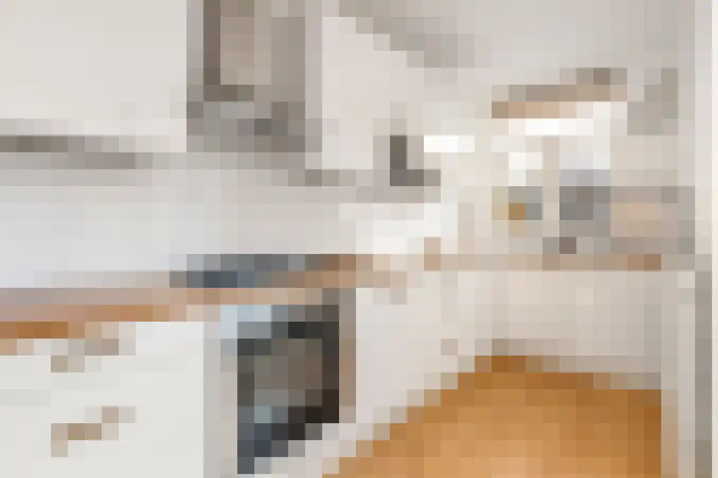 Eerste Hugo de Grootstraat 19 3 Amsterdam thumbnail 4