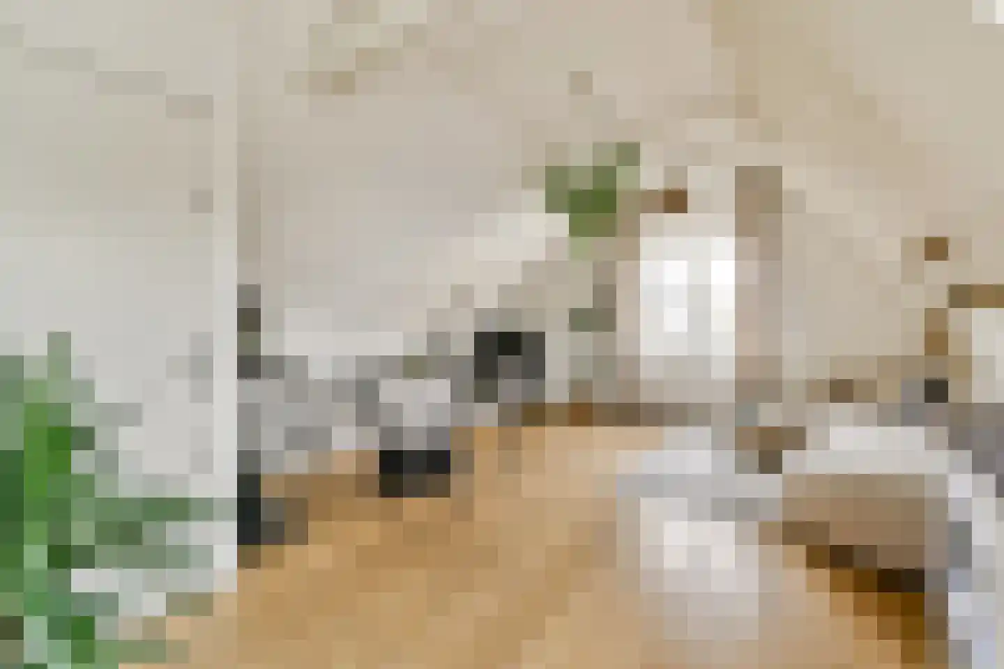 Eerste Hugo de Grootstraat 3 1 Amsterdam thumbnail 4