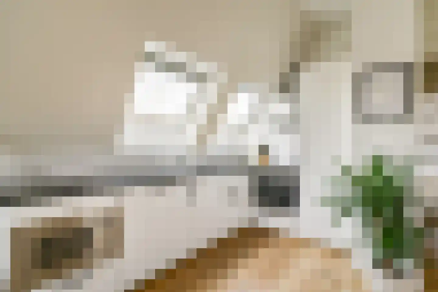 Eerste Hugo de Grootstraat 3 1 Amsterdam thumbnail 9