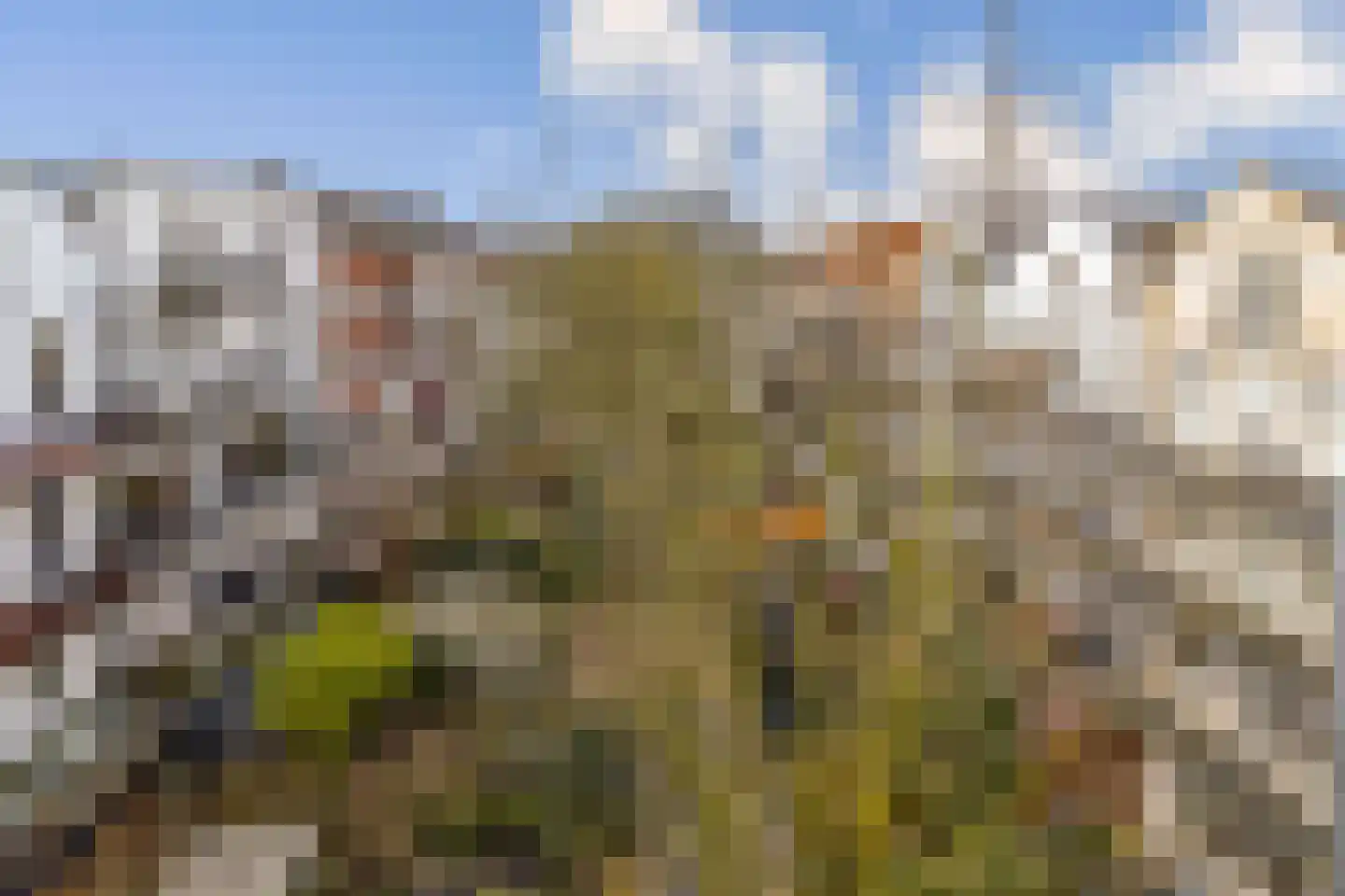 Eerste Hugo de Grootstraat 3 4 Amsterdam thumbnail 10