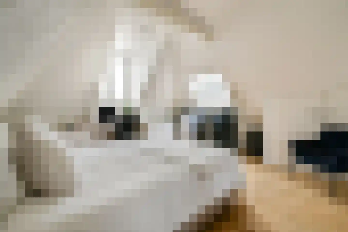 Eerste Hugo de Grootstraat 3 4 Amsterdam thumbnail 11