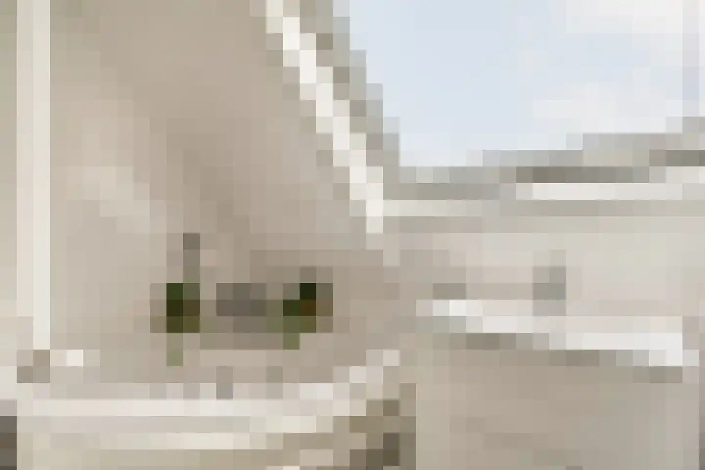 Eerste Hugo de Grootstraat 3 4 Amsterdam thumbnail 12
