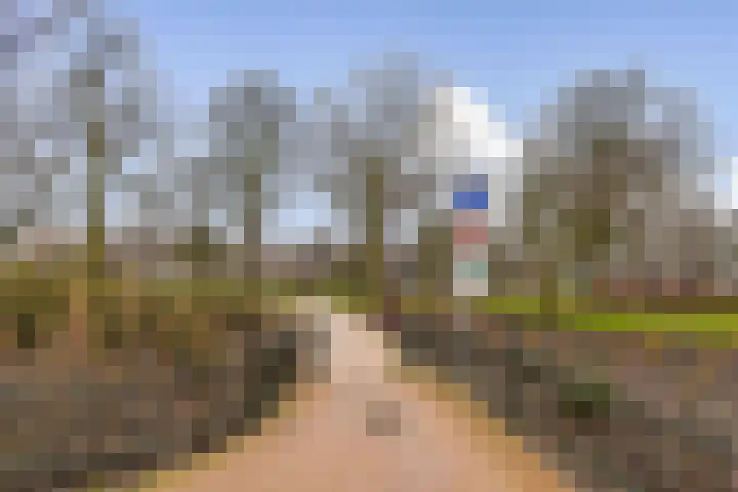Eerste Hugo de Grootstraat 3 4 Amsterdam thumbnail 16