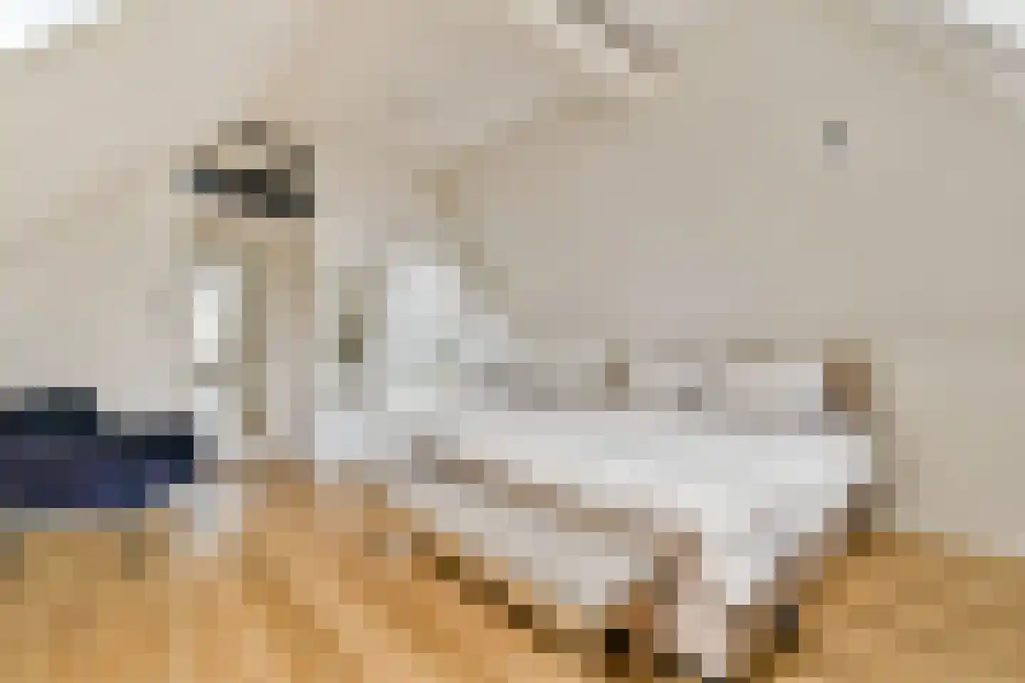 Eerste Hugo de Grootstraat 3 4 Amsterdam thumbnail 5