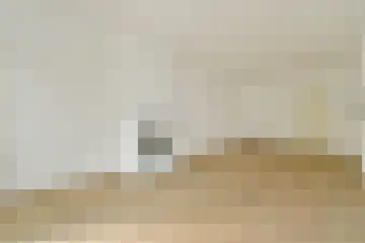 Eerste Hugo de Grootstraat 3 4 Amsterdam thumbnail 7
