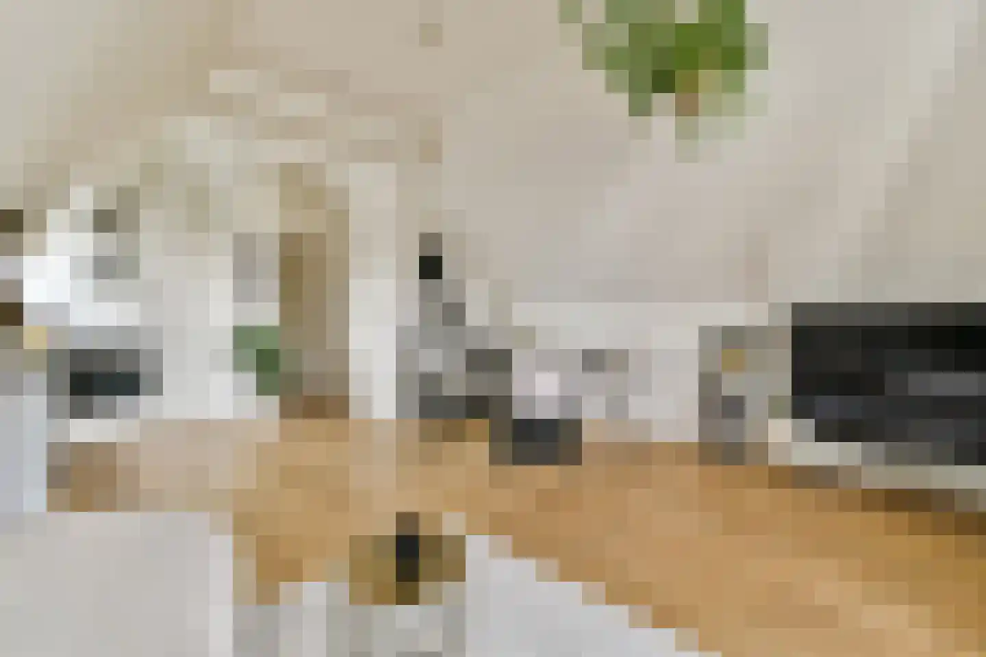 Eerste Hugo de Grootstraat 3 4 Amsterdam thumbnail 7