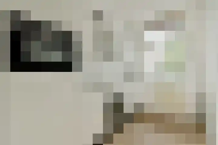 Eerste Hugo de Grootstraat 3 4 Amsterdam thumbnail 9