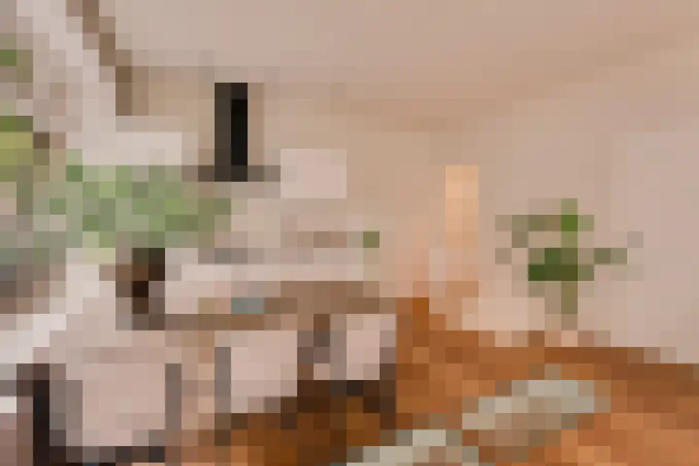Eerste Hugo de Grootstraat 45 Amsterdam thumbnail 11