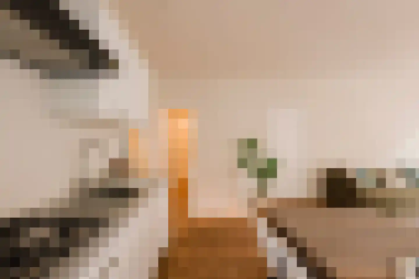 Eerste Hugo de Grootstraat 45 Amsterdam thumbnail 13