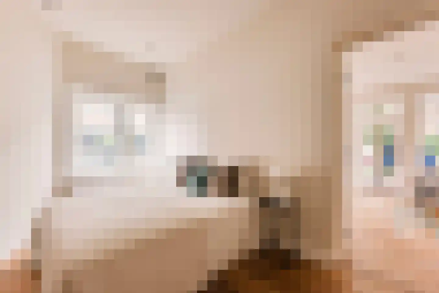 Eerste Hugo de Grootstraat 45 Amsterdam thumbnail 15