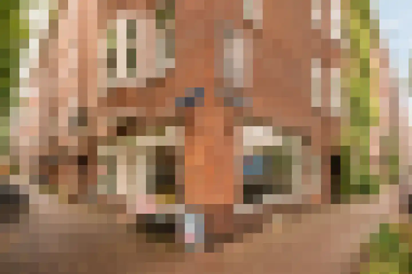 Eerste Hugo de Grootstraat 45 Amsterdam thumbnail 26