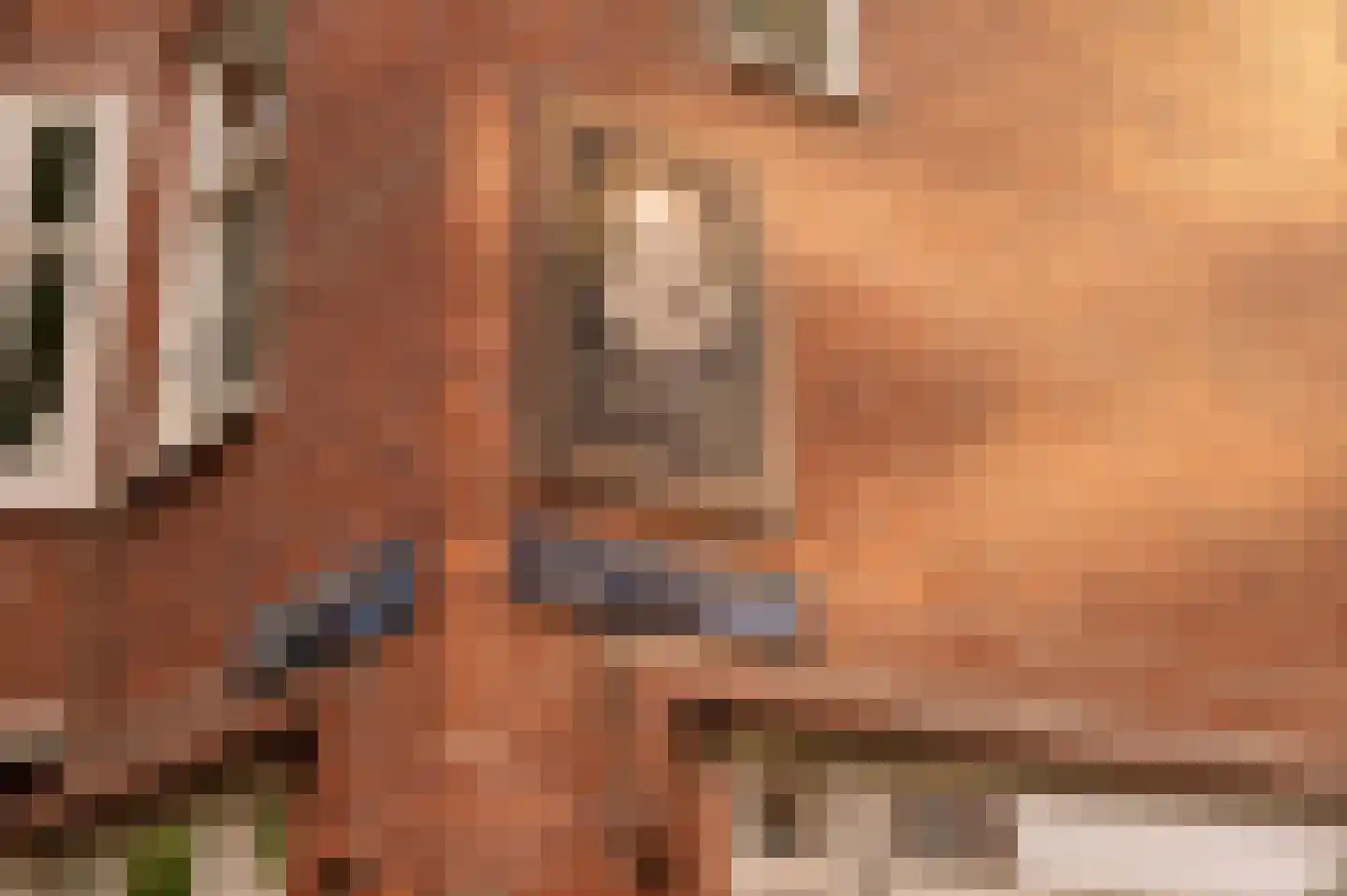 Eerste Hugo de Grootstraat 45 Amsterdam thumbnail 27