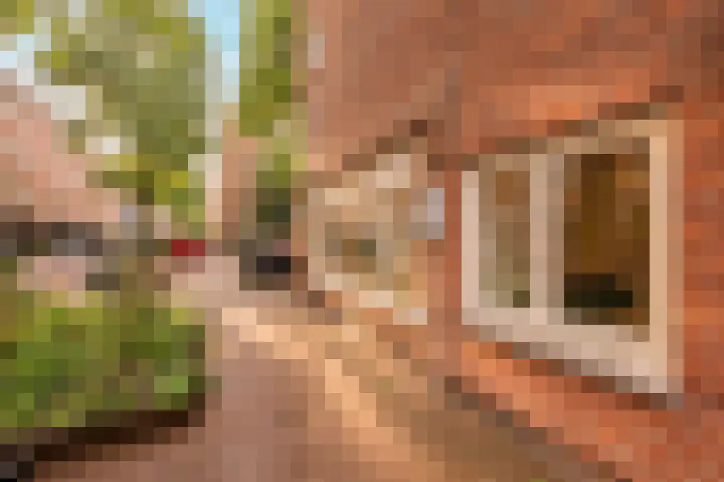 Eerste Hugo de Grootstraat 45 Amsterdam thumbnail 28