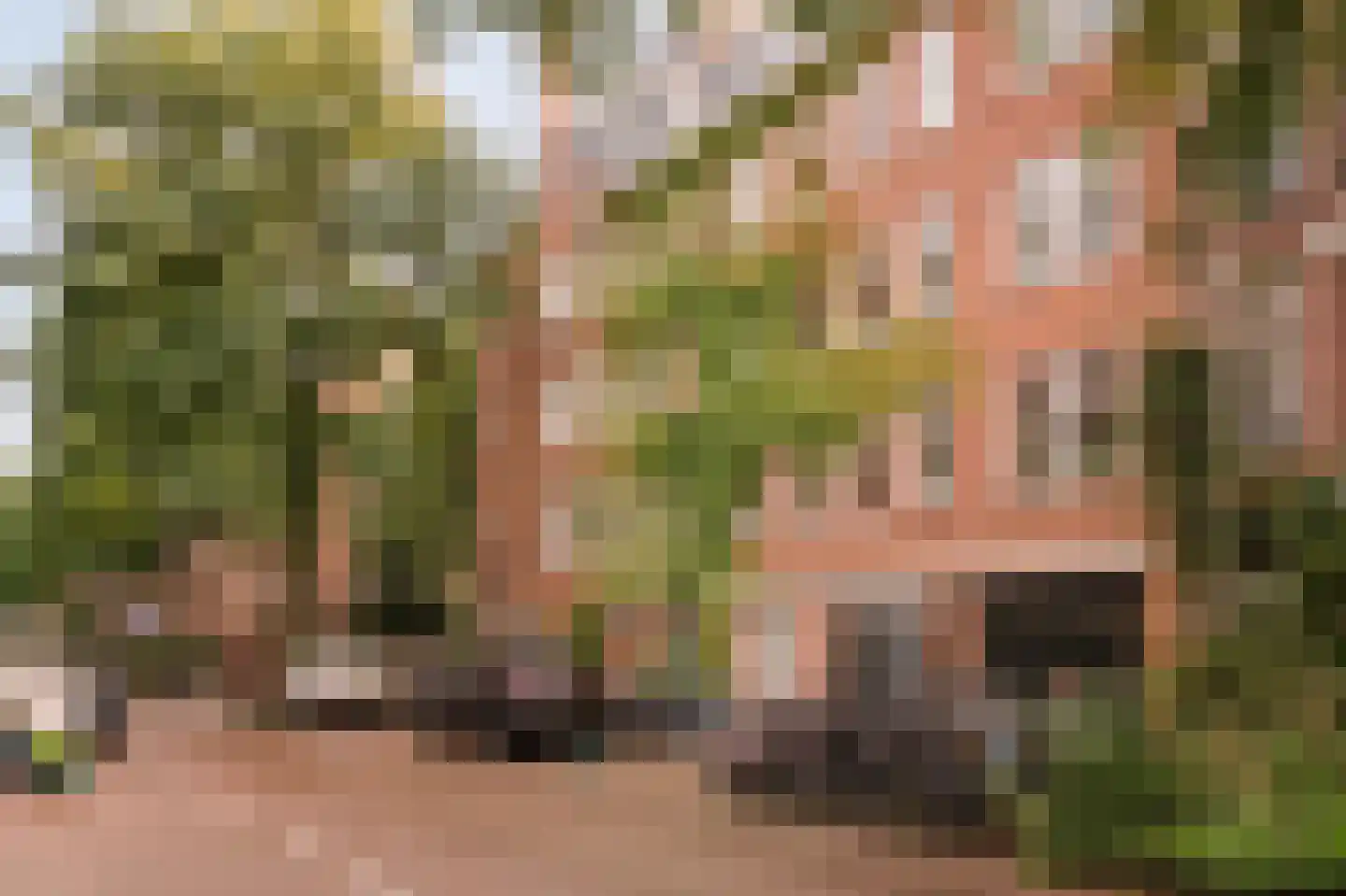 Eerste Hugo de Grootstraat 45 Amsterdam thumbnail 29