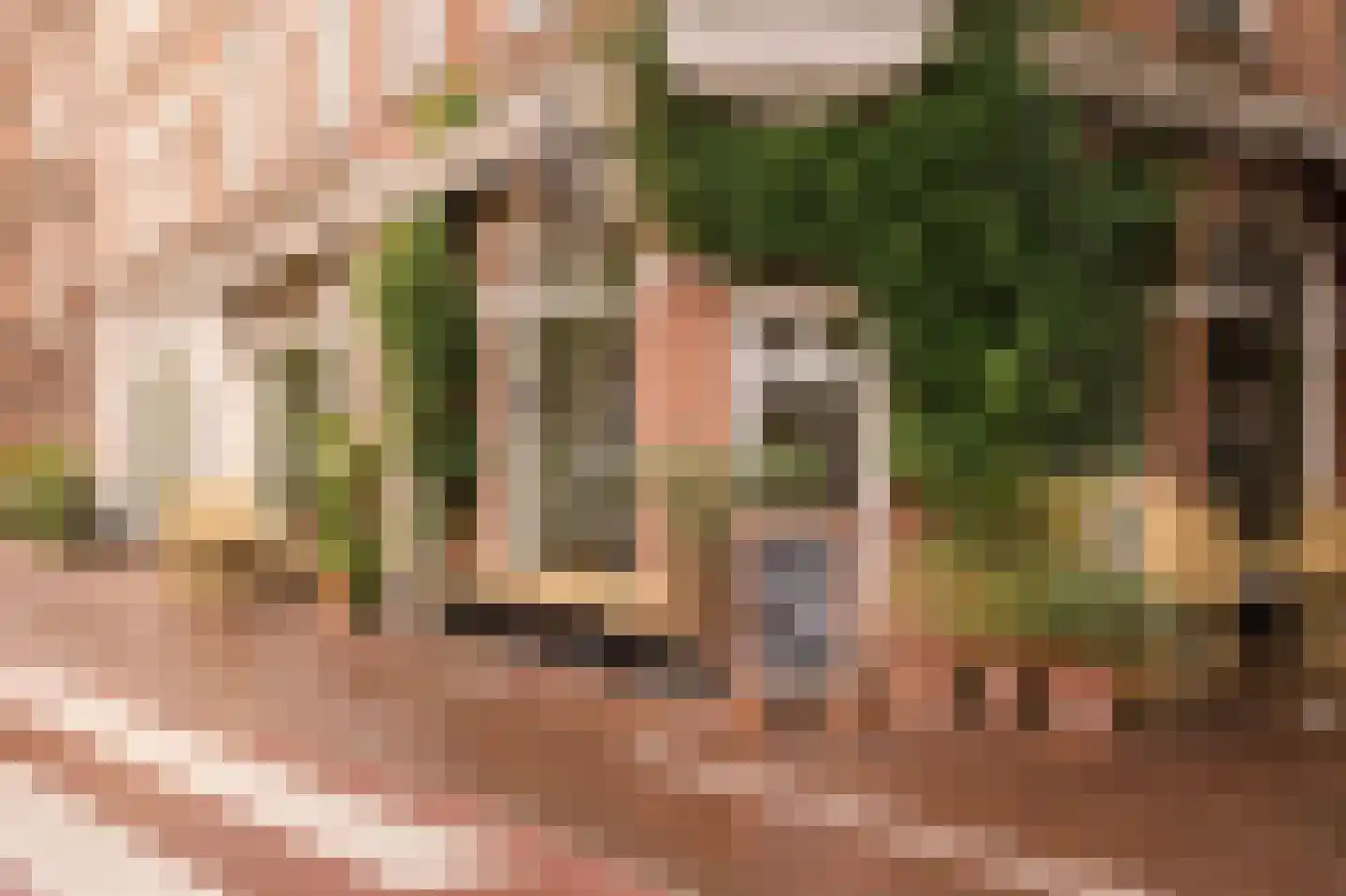 Eerste Hugo de Grootstraat 45 Amsterdam thumbnail 31