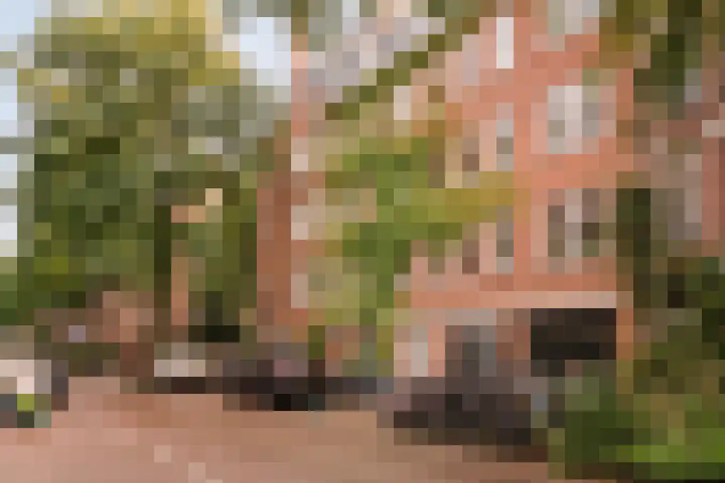 Eerste Hugo de Grootstraat 45 Amsterdam thumbnail 31