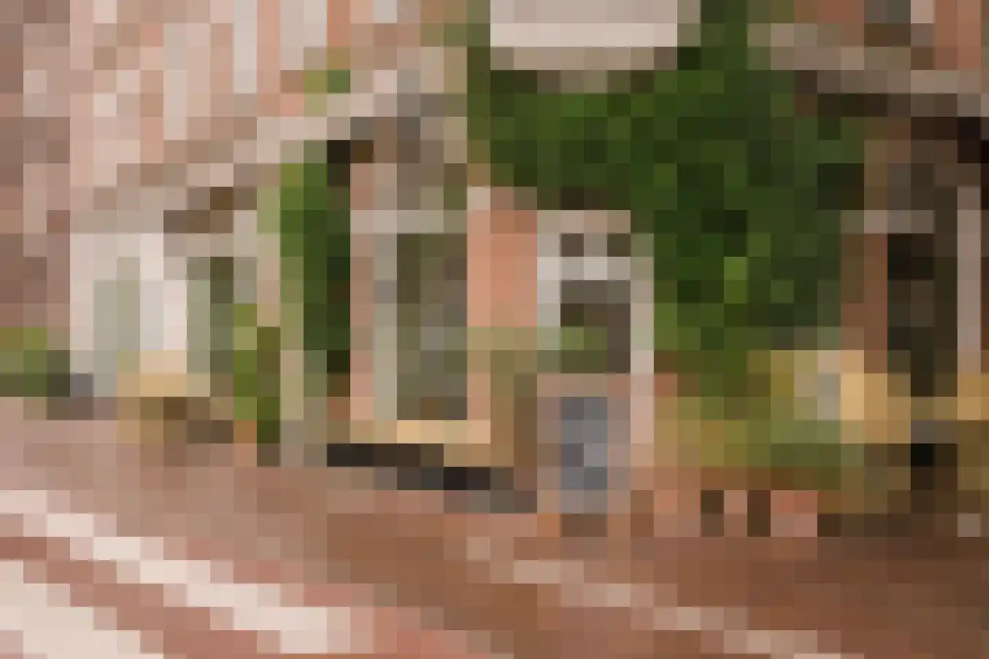 Eerste Hugo de Grootstraat 45 Amsterdam thumbnail 35