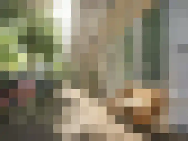 Eerste Hugo de Grootstraat 7 3 Amsterdam thumbnail 20