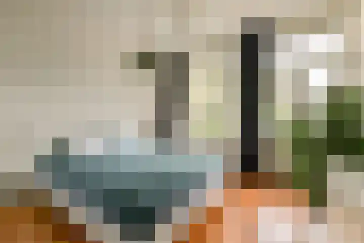 Eerste Hugo de Grootstraat 8 3 Amsterdam thumbnail 11