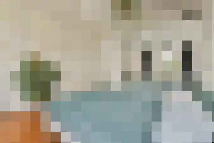 Eerste Hugo de Grootstraat 8 3 Amsterdam thumbnail 12