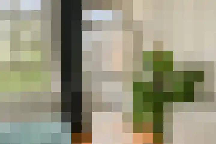 Eerste Hugo de Grootstraat 8 3 Amsterdam thumbnail 13