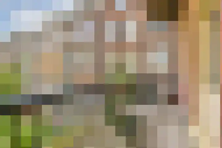 Eerste Hugo de Grootstraat 8 3 Amsterdam thumbnail 15